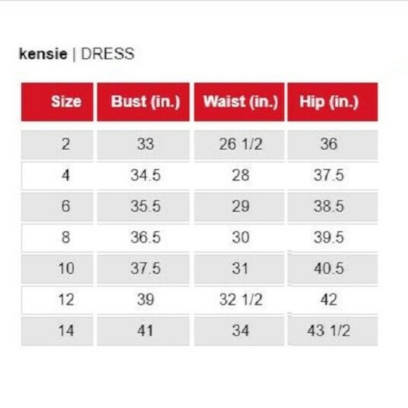 Kensie Blue Multi Floral Burnout Dress NWT - Picture 4 of 4